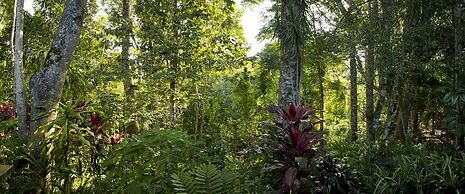 Sharlynn by the River