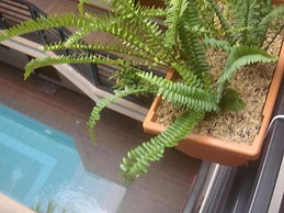 Hidden Pearl Hotel - Janus Luxury Suites