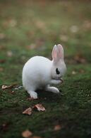 Pusen Lanting Shaoxing