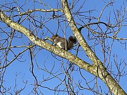 Burton Lodge Guest House and Spa