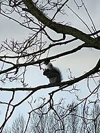 Burton Lodge Guest House and Spa