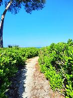 Sunset Beach 202 2 Bedroom Condo by RedAwning