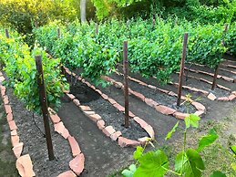 Tudor in the Downtown Historic District 6Br Home