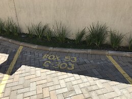 Apartamento Terraneo 303