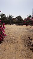 Baobab Lodge