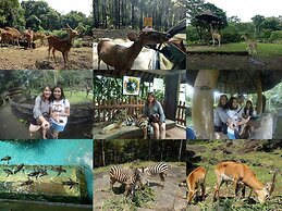 Gio Guesthouse Bogor