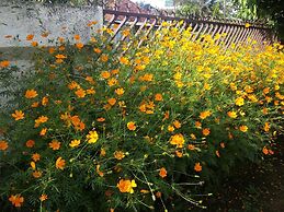 Gio Guesthouse Bogor