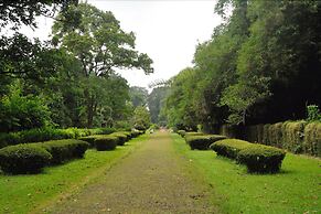 Gio Guesthouse Bogor