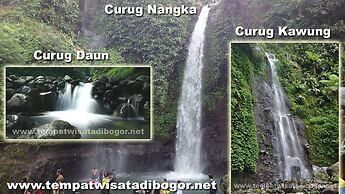 Gio Guesthouse Bogor