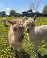 Setcops Farm Holiday Cottages