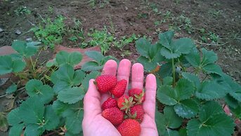 Chacra La Calandria B&B