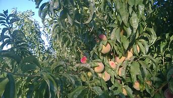 Chacra La Calandria B&B