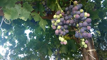 Chacra La Calandria B&B