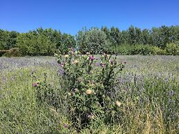 Chacra La Calandria B&B
