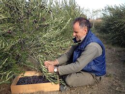 Chacra La Calandria B&B