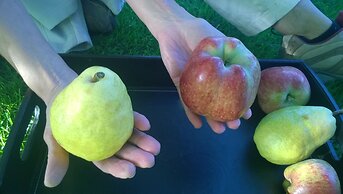 Chacra La Calandria B&B