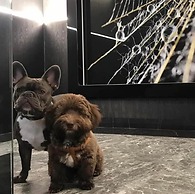 My Story Sopot Apartments