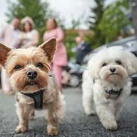 My Story Sopot Apartments