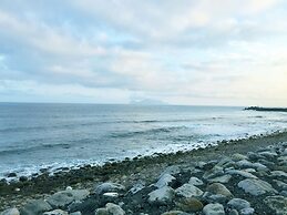 Migratory Birds Hotel