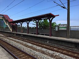 Migratory Birds Hotel