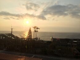 Migratory Birds Hotel