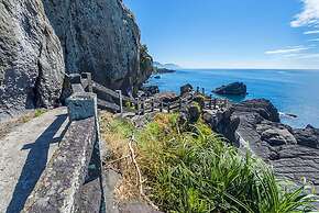 Migratory Birds Hotel