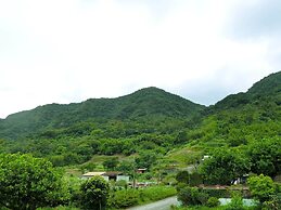 Migratory Birds Hotel