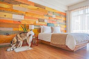 Mayan Monkey Cancun | Social Hotel