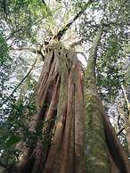 La Casa de la Montaña B&B