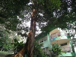 La Casa de la Montaña B&B