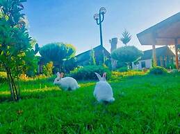 Kalipso Park Butik Otel