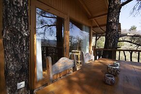 Yenice Vadi Dogal Yasam Koyu