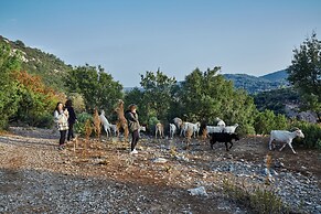 Yenice Vadi Dogal Yasam Koyu