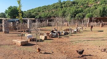 Yenice Vadi Dogal Yasam Koyu