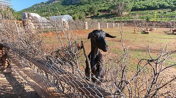 Yenice Vadi Dogal Yasam Koyu