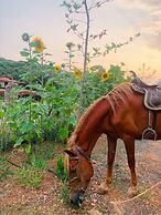 Yenice Vadi Dogal Yasam Koyu