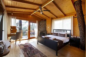 Yenice Vadi Dogal Yasam Koyu