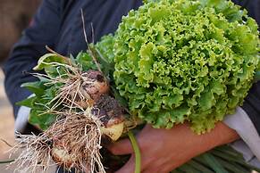 Yenice Vadi Dogal Yasam Koyu