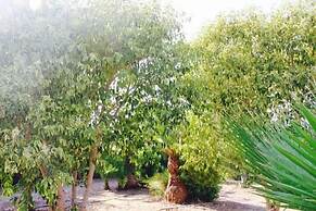 Gli Allori - Fuga dalla Città