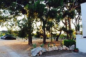 Gli Allori - Fuga dalla Città