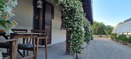 Gli Allori - Fuga dalla Città