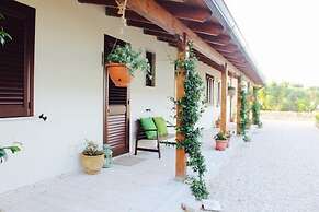 Gli Allori - Fuga dalla Città