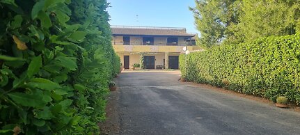 Gli Allori - Fuga dalla Città