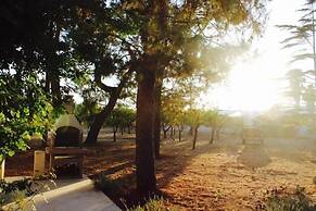 Gli Allori - Fuga dalla Città