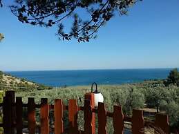 Residence Mattinatella