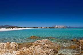 The Old Farm Asfodeli - Adults Only