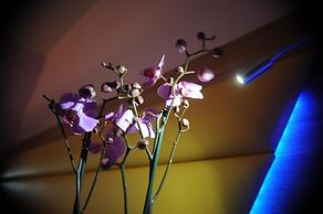 Ostia Antica Suite BB