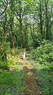 Y Branwen Hotel - Adults Only and Dog Friendly