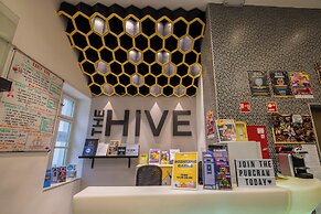 The Hive Party Hostel