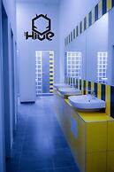 The Hive Party Hostel
